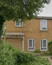 Spruce,Amington