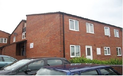 Abelia, Amington